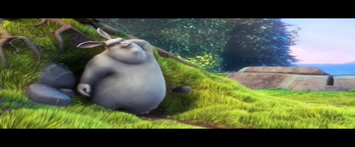 test_vid-3